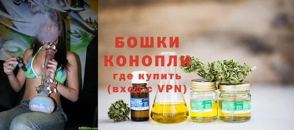 apvp Горнозаводск