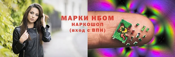 сатива Гусь-Хрустальный