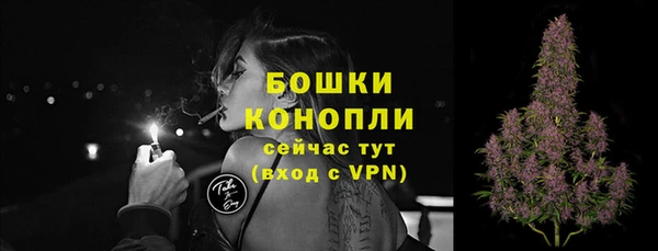 apvp Горнозаводск