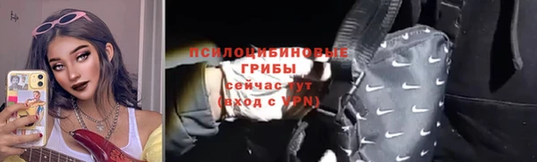 молекула духа Горно-Алтайск