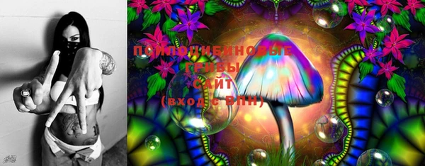хмурый Гусиноозёрск