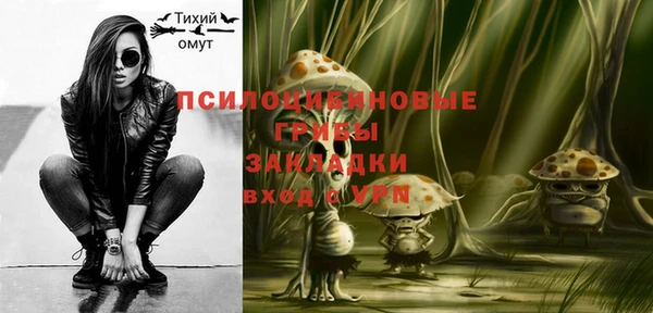 apvp Горнозаводск