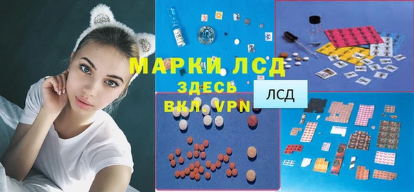 apvp Горнозаводск